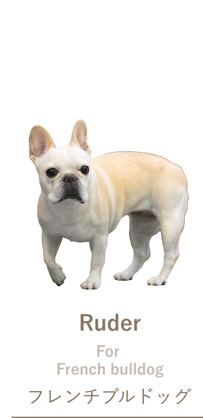 フレンチブルドッグ